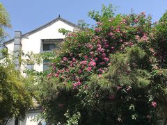 -欣旺·迎宾楼·百年无锡菜