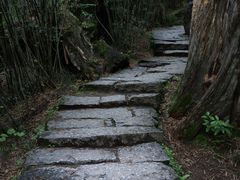 -卡定沟景区