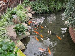 -金稼园·金平湖农家菜