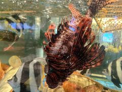 -聚福宝合苑食府(南头镇店)