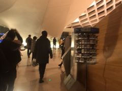 -哈尔滨大剧院