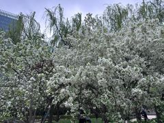 -元大都城垣遗址公园