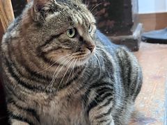 -雕刻时光·咖啡·酒吧·西餐(香山店)