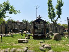 -上海野生动物园