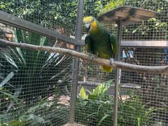 -大连森林动物园