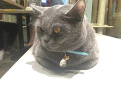 -小时光咖啡馆(开森度假森林店)