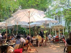 -Fern Forest Cafe