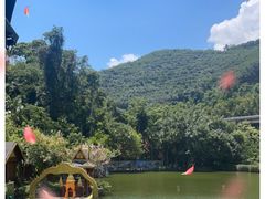 -西双版纳原始森林公园