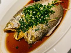 -醉辉皇上海之巅(上海中心大厦店)