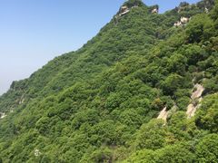 -少华山国家森林公园