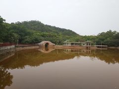 -大雁山风景区