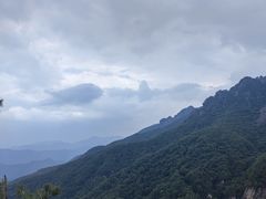 -牛背梁国家森林公园