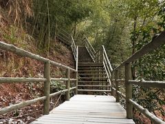 -东天目山风景区