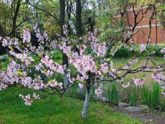 -南京特殊教育师范学院(燕子矶校区)