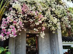 -深圳国际园林花卉博览园