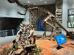 -自贡恐龙博物馆