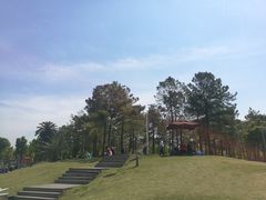 -美兰湖景区