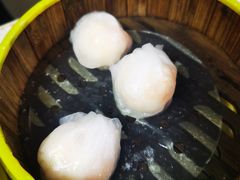 -肥佬夜茶(早茶·西乡店)