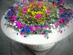 android_upload_pic-沈阳药科大学