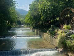 -广州白江湖森林公园