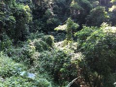 -火炉山森林公园