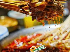 -来涮蜀鲜货火锅串串香(菜市口店)