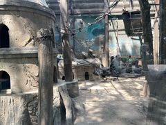 -石家庄市动物园