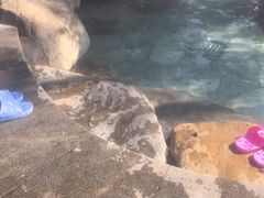 -唐风温泉