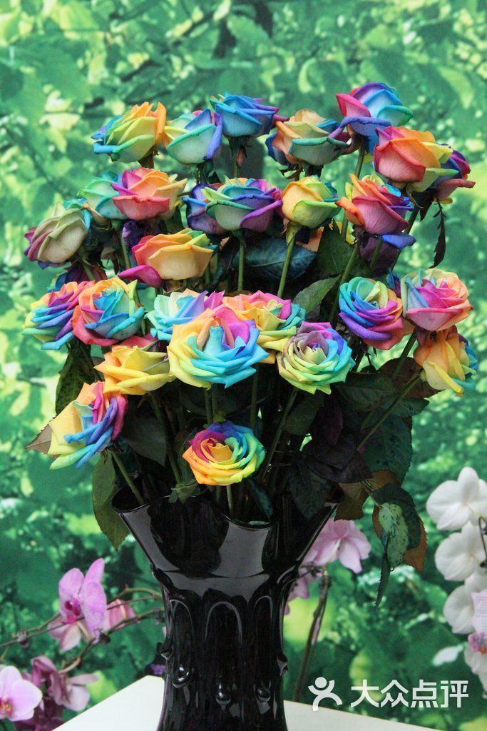 北京园博园-七彩玫瑰-环境-七彩玫瑰图片-北京周边游-大众点评网