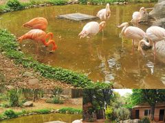 -昆明动物园