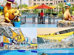 -海合安天津极地海洋公园