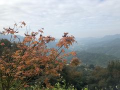 -广州市石门国家森林公园