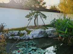 -上海滨江森林公园