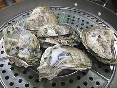 -大富蚝乌东哥饭店·石锅鱼杂·柠檬鸭(革新路店)