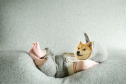 -西瓜庄园儿童摄影
