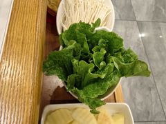 生菜-鸿喜牛·潮汕鲜牛肉火锅(海浪湾店)