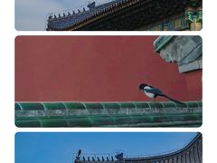 -天坛公园