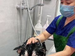 -宠福鑫康馨动物医院·骨科·眼科
