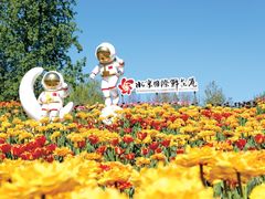 -北京国际鲜花港