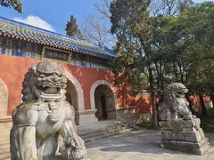 -灵谷景区