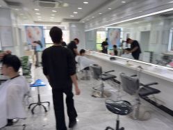 -镁连社·美联社