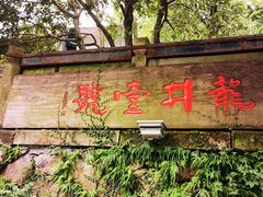 -龙井壹号·茶缘山景宴(龙井村店)