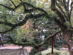-香港大学