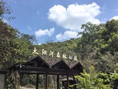 -普洱太阳河森林公园