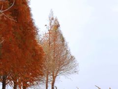 -捞渔河湿地公园