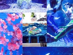 -南昌海洋公园