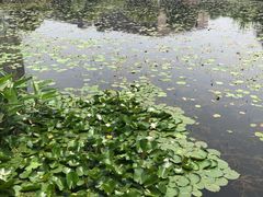 -3W咖啡(国家软件园店)