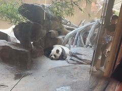 -宁波野生动物园