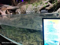 -临沂极地海洋王国