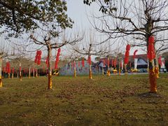 -上海海湾国家森林公园